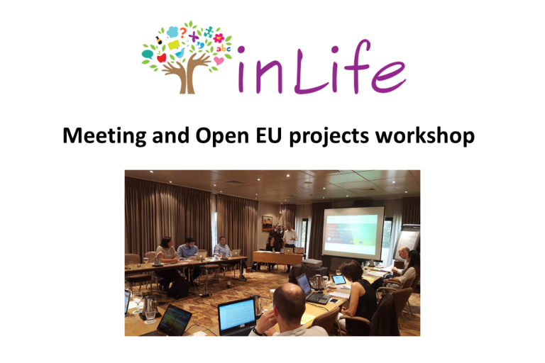 InLife project meeting and workshop