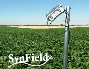 New SynField installation in Salamanca, Spain