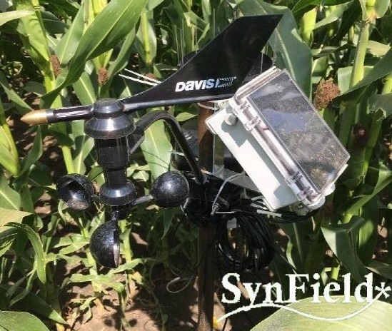 Installation of SynField in Novi Sad, Serbia