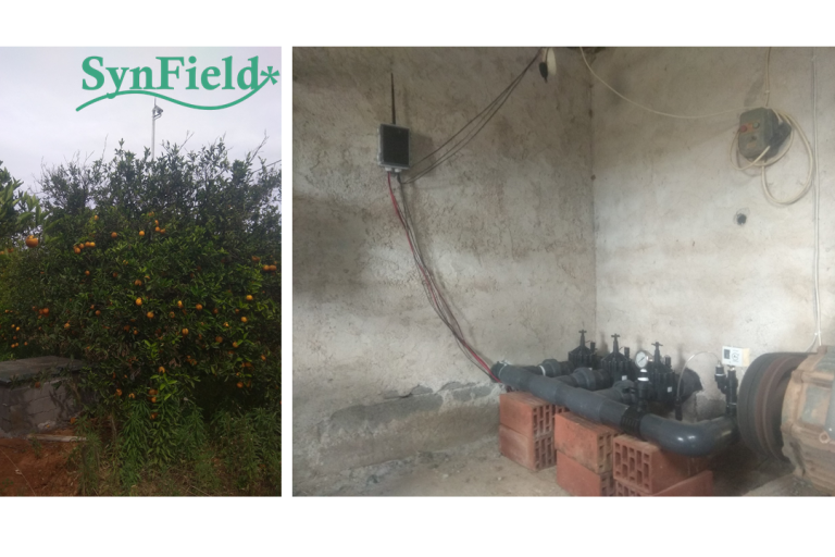 New SynField Installation In Lakonia, Greece