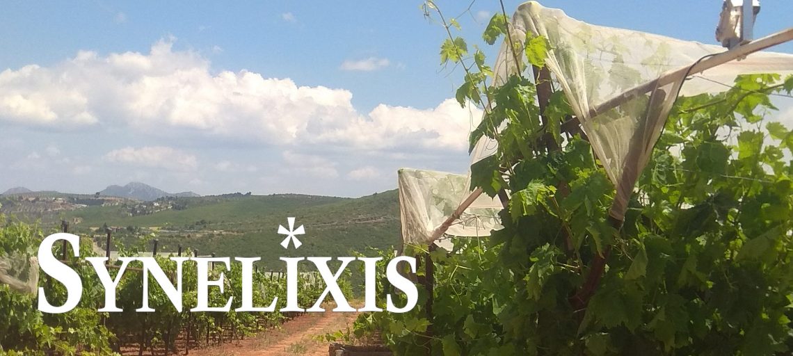 New SynField installation at Nea Fyteia (Greece)