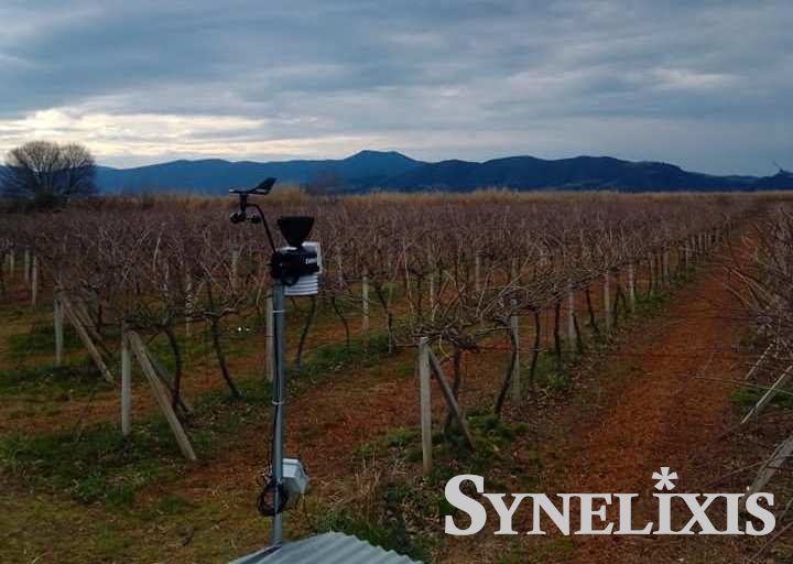 SynField Installation in Kiwi crop in Agrinio, Greece